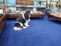 The actual boss